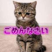 ヒメ日記 2026/01/08 11:12 投稿 みお ジャパンクラブ富士