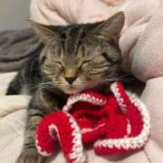 ヒメ日記 2026/01/21 18:13 投稿 みお ジャパンクラブ富士