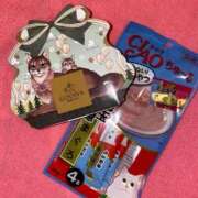 ヒメ日記 2026/03/16 11:32 投稿 みお ジャパンクラブ富士