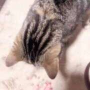 ヒメ日記 2026/05/23 23:44 投稿 みお ジャパンクラブ富士