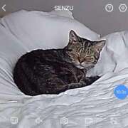 ヒメ日記 2026/06/05 12:42 投稿 みお ジャパンクラブ富士