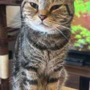 ヒメ日記 2026/10/04 16:51 投稿 みお ジャパンクラブ富士