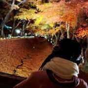 もみじ もみじの道をゆっくりと🍁 沼津人妻花壇