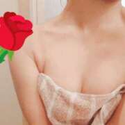 ヒメ日記 2025/03/14 06:56 投稿 目暮　あまね スタイリッシュ秘書