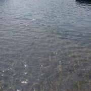 ヒメ日記 2025/04/11 14:31 投稿 目暮　あまね スタイリッシュ秘書