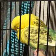 ヒメ日記 2025/04/15 15:35 投稿 目暮　あまね スタイリッシュ秘書