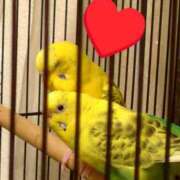 ヒメ日記 2025/04/15 17:25 投稿 目暮　あまね スタイリッシュ秘書