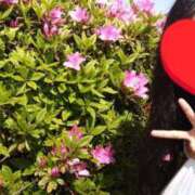 ヒメ日記 2025/05/07 12:28 投稿 目暮　あまね スタイリッシュ秘書