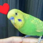 ヒメ日記 2025/10/25 22:25 投稿 目暮　あまね スタイリッシュ秘書