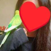 ヒメ日記 2025/11/09 22:52 投稿 目暮　あまね スタイリッシュ秘書