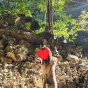 ヒメ日記 2025/11/23 15:58 投稿 目暮　あまね スタイリッシュ秘書