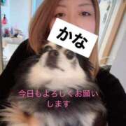 佳奈　かな（33） 最終日だょっ♥️ 出会い系人妻ネットワーク 熊谷編