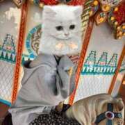 ゆうり【唯一無二の存在】 ディズニーシー行きました🐭🏰💞 La.qoo　金沢本店