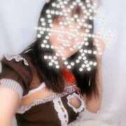 ヒメ日記 2025/02/19 01:39 投稿 みな マツタケヒロシ