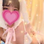 ヒメ日記 2025/02/24 01:08 投稿 みな マツタケヒロシ