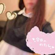 ヒメ日記 2025/10/08 01:43 投稿 みな マツタケヒロシ