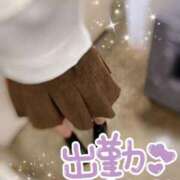 ヒメ日記 2025/10/11 14:21 投稿 みな マツタケヒロシ