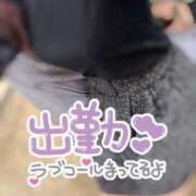 ヒメ日記 2025/10/19 12:04 投稿 みな マツタケヒロシ