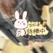 ヒメ日記 2025/10/21 14:49 投稿 みな マツタケヒロシ