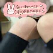 ヒメ日記 2025/11/01 02:08 投稿 みな マツタケヒロシ