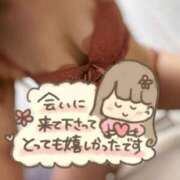 ヒメ日記 2025/11/09 01:03 投稿 みな マツタケヒロシ