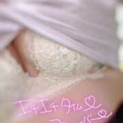 ヒメ日記 2025/11/10 02:53 投稿 みな マツタケヒロシ