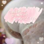 ヒメ日記 2025/11/13 05:11 投稿 みな マツタケヒロシ