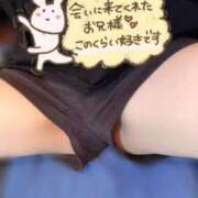 ヒメ日記 2025/11/16 03:43 投稿 みな マツタケヒロシ