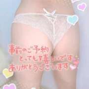 ヒメ日記 2025/11/24 11:04 投稿 みな マツタケヒロシ