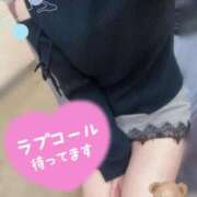 ヒメ日記 2025/11/26 15:21 投稿 みな マツタケヒロシ