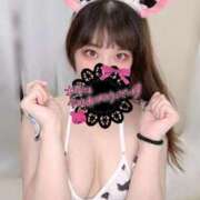 ヒメ日記 2025/11/29 02:01 投稿 みな マツタケヒロシ