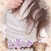 ヒメ日記 2025/11/29 10:18 投稿 みな マツタケヒロシ