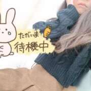 ヒメ日記 2025/11/30 17:51 投稿 みな マツタケヒロシ