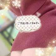 ヒメ日記 2025/12/03 14:02 投稿 みな マツタケヒロシ