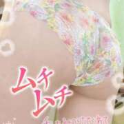 ヒメ日記 2025/12/04 03:35 投稿 みな マツタケヒロシ