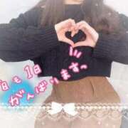 ヒメ日記 2025/12/07 10:18 投稿 みな マツタケヒロシ