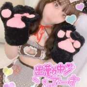 ヒメ日記 2026/03/01 10:21 投稿 みな マツタケヒロシ