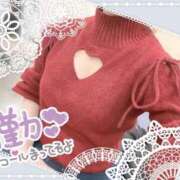 ヒメ日記 2026/04/11 13:49 投稿 みな マツタケヒロシ