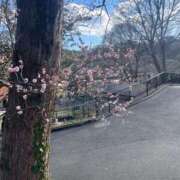 ヒメ日記 2025/02/27 20:13 投稿 まなみ【可憐な笑顔の美女♡】 LIPS(リップス)