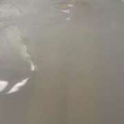 ヒメ日記 2025/03/12 22:53 投稿 まなみ【可憐な笑顔の美女♡】 LIPS(リップス)