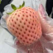 ヒメ日記 2025/03/22 23:07 投稿 まなみ【可憐な笑顔の美女♡】 LIPS(リップス)