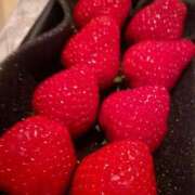 ヒメ日記 2025/04/28 02:50 投稿 まなみ【可憐な笑顔の美女♡】 LIPS(リップス)