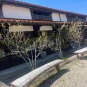 ヒメ日記 2025/05/09 22:44 投稿 まなみ【可憐な笑顔の美女♡】 LIPS(リップス)