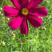 ヒメ日記 2025/05/05 14:44 投稿 麻生 久美子 熟女・人妻マダム宮殿