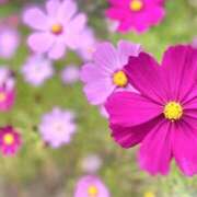 ヒメ日記 2025/08/26 21:45 投稿 麻生 久美子 熟女・人妻マダム宮殿