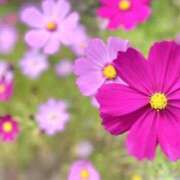 ヒメ日記 2025/10/18 08:53 投稿 麻生 久美子 熟女・人妻マダム宮殿