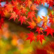 ヒメ日記 2025/10/21 21:40 投稿 麻生 久美子 熟女・人妻マダム宮殿