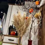 ヒメ日記 2025/10/25 07:09 投稿 麻生 久美子 熟女・人妻マダム宮殿