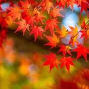 ヒメ日記 2025/11/04 20:49 投稿 麻生 久美子 熟女・人妻マダム宮殿