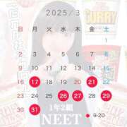 ヒメ日記 2025/03/16 21:49 投稿 にと アロー